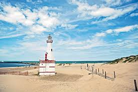 New Buffalo Barricade Rental